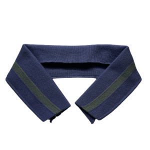 Col pour polo bleu barbeau et vert