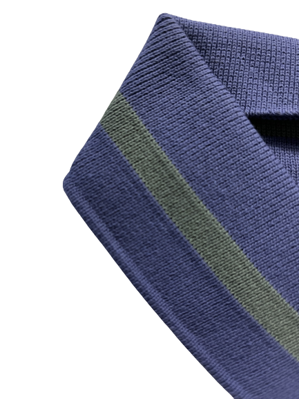 Col pour polo bleu barbeau et vert zoom